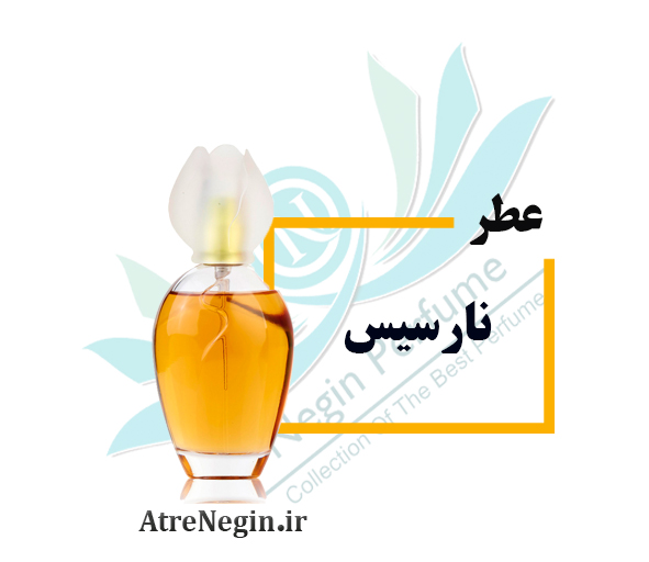 عطر نارسیس Narcisse